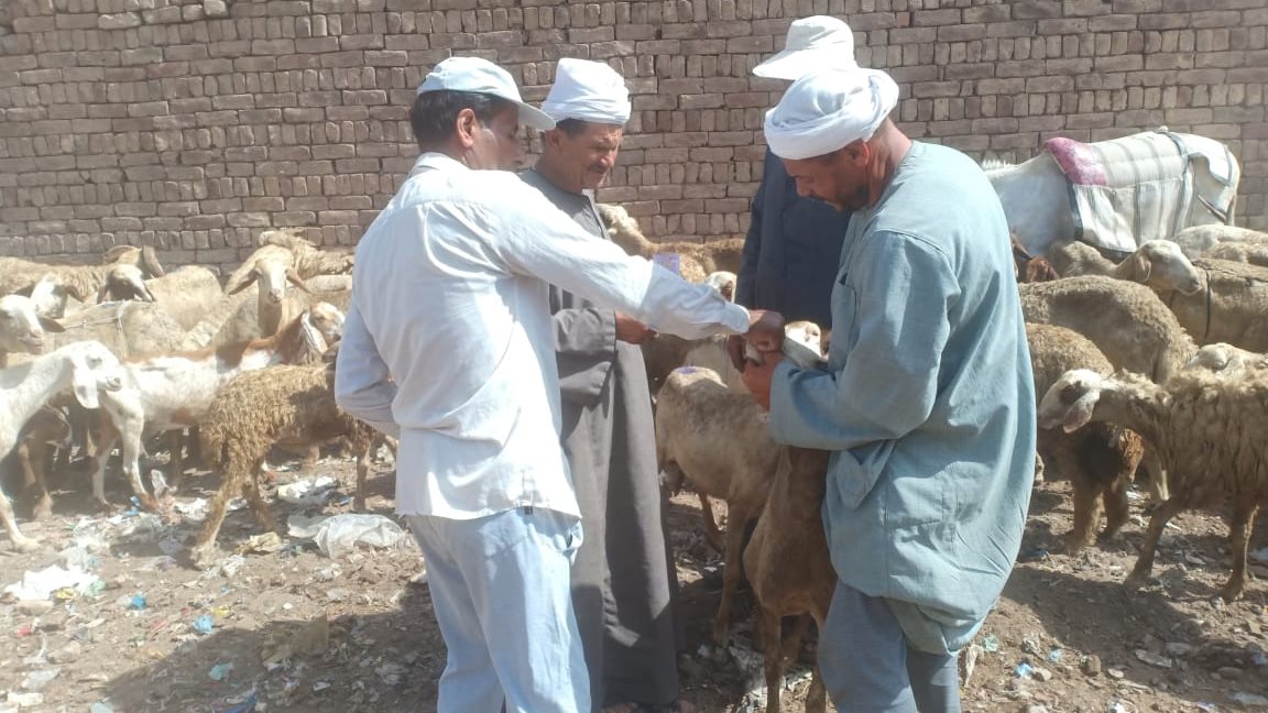 قافلة بيطرية بالغربية