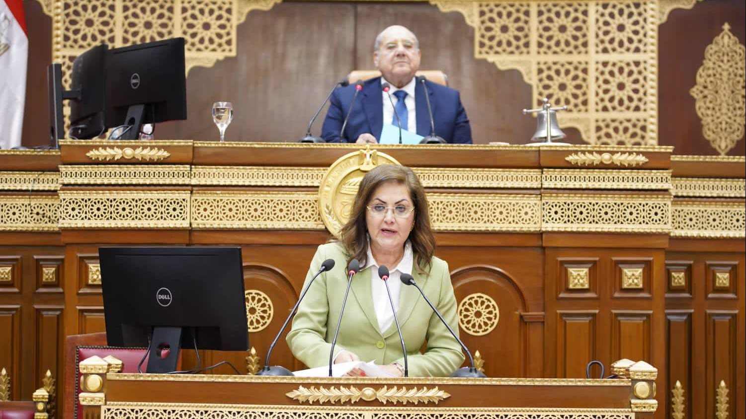 د.هالة السعيد وزيرة التخطيط والتنمية الاقتصادية 