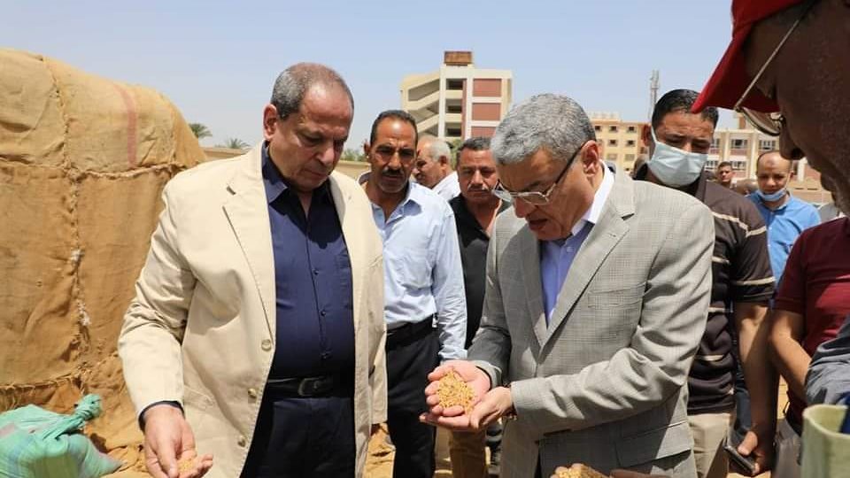 محافظ المنيا يتابع توريد القمح 