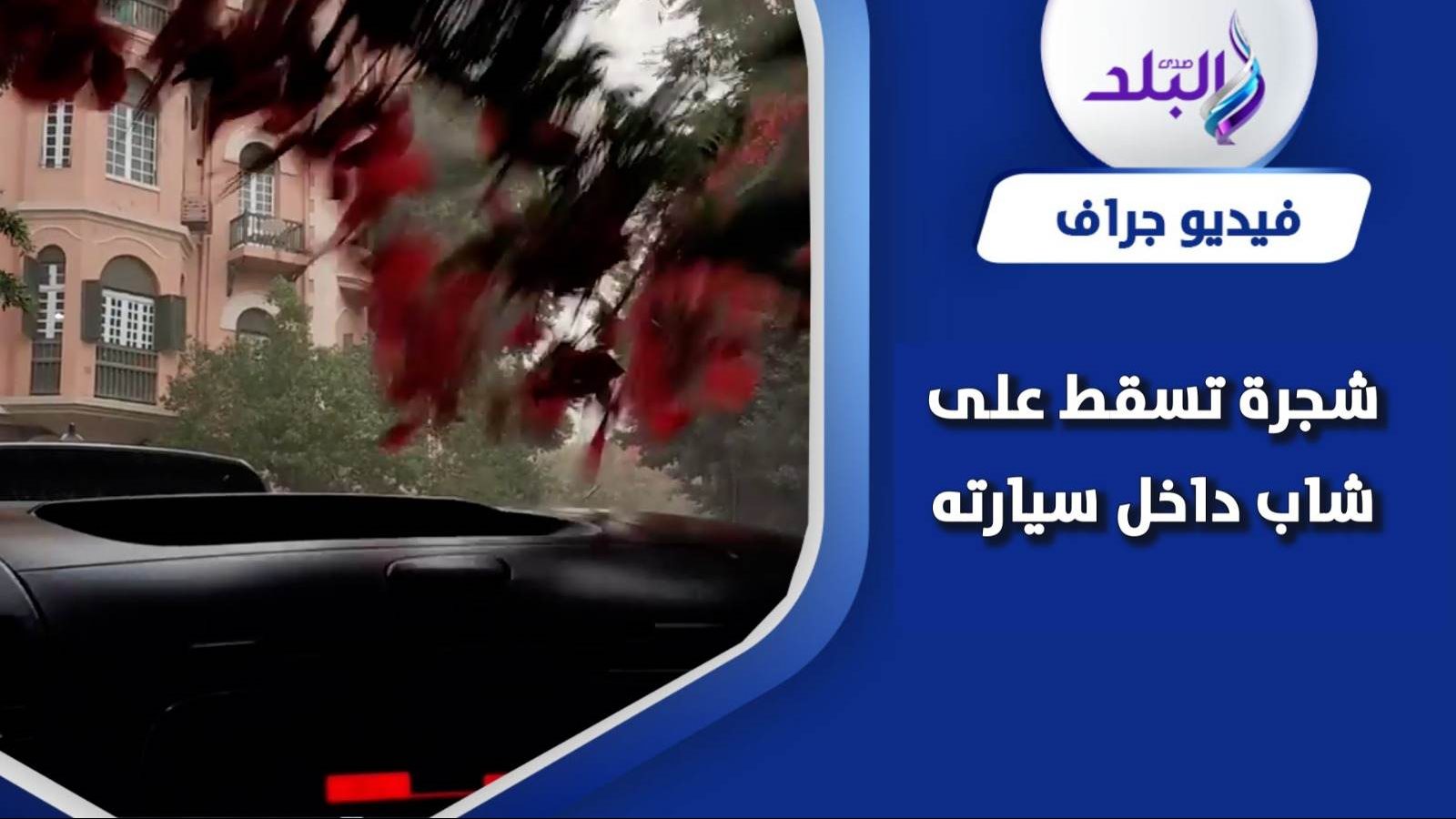 سقوط شجرة على شاب