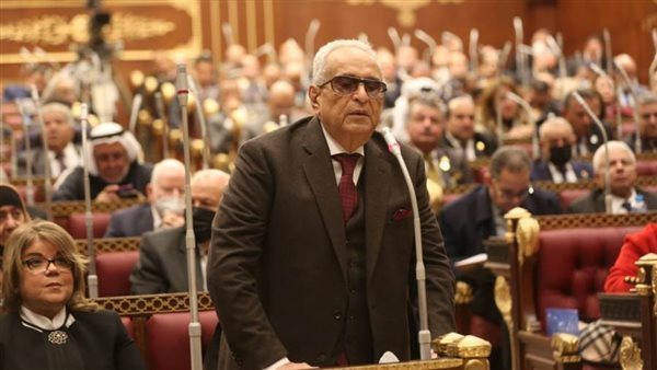 بهاء أبو شقة