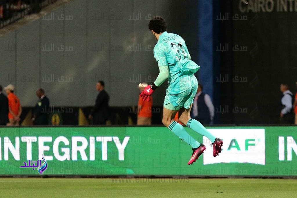 مصطفى شوبير