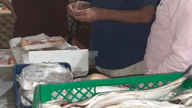 الاسماك المضبوطة 