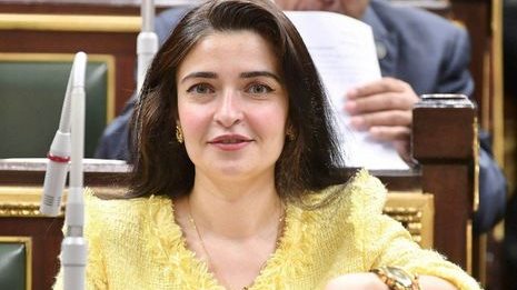 إيرين سعيد ،عضو لجنة الصحة بمجلس النواب
