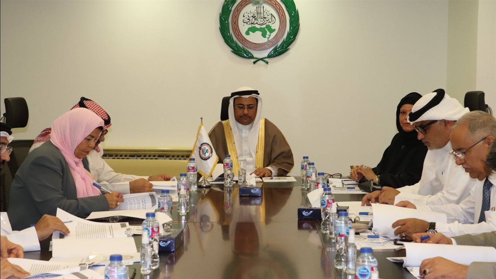 لجنة فلسطين بالبرلمان العربي 
