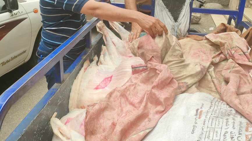 ضبط لحوم مذبوحة خارج المجازر ببولاق الدكرور