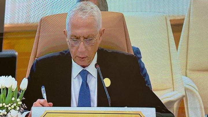 السفير حمدي لوزا