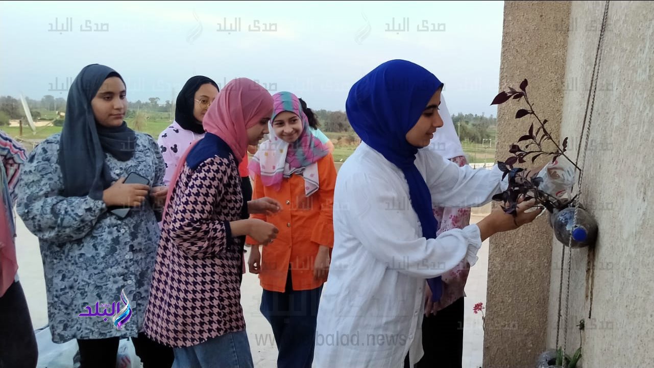 جانب من الفعاليات 