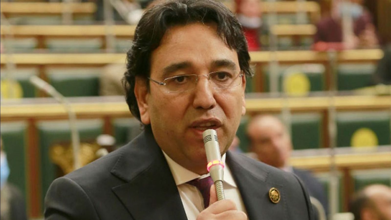 ايمن محسب، عضو مجلس النواب