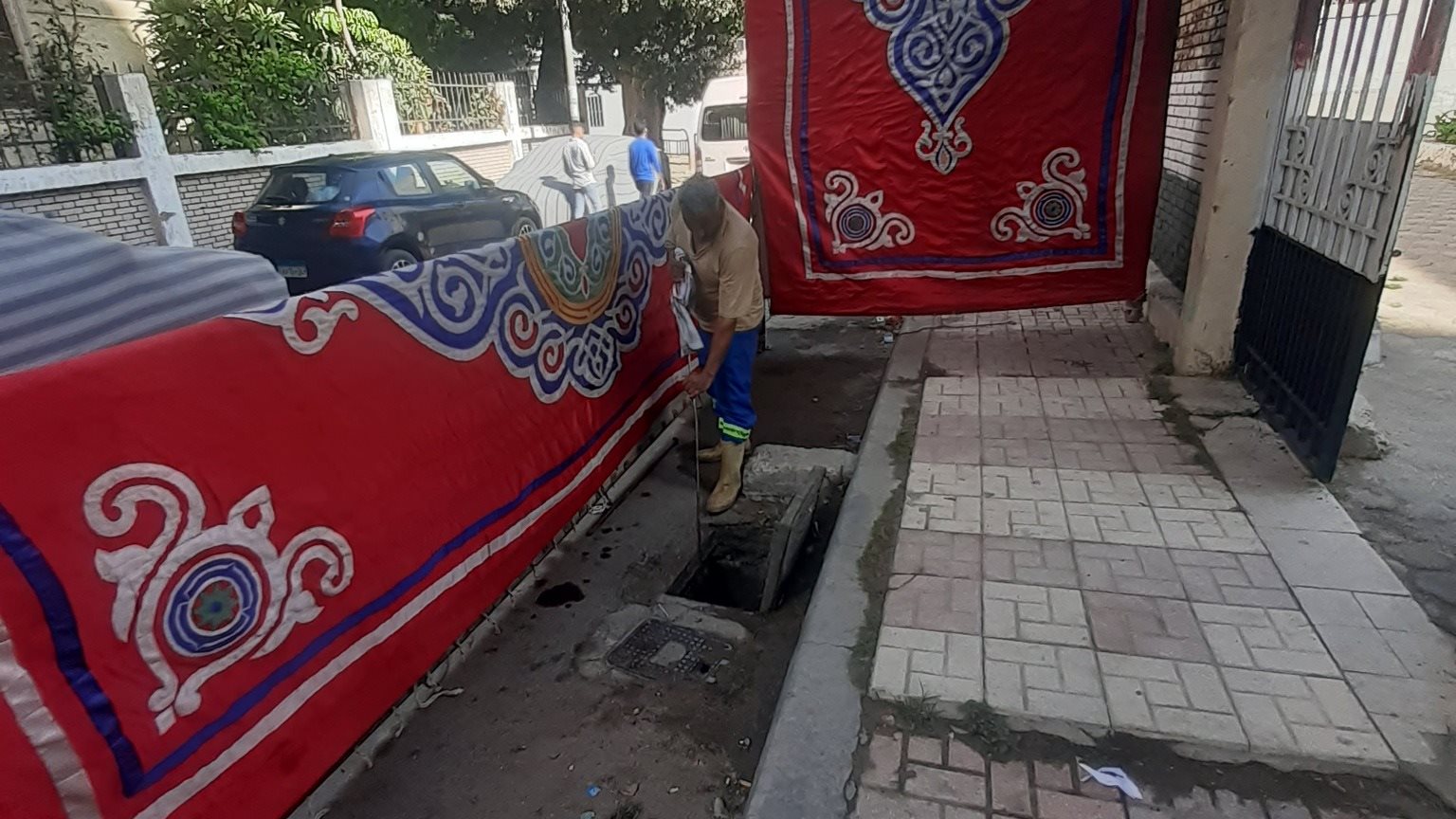 تطهير الشنايش بمحيط مدارس الإسكندرية 