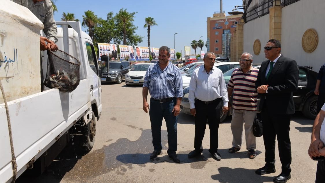 محافظ الدقهلية