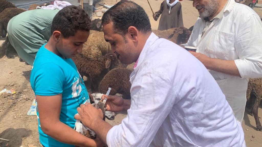 الطب البيطري بالغربية 