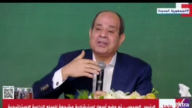 السيسي 