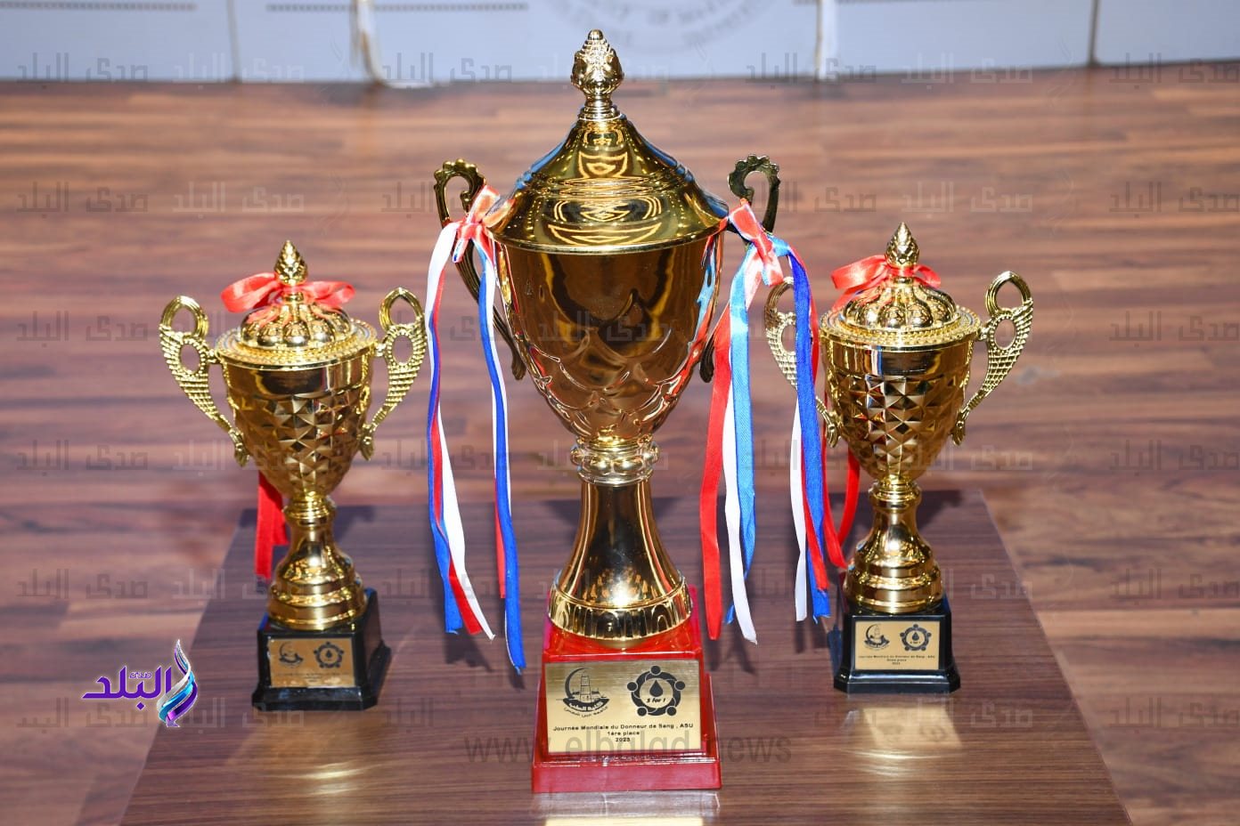 جامعة عين شمس تحتفل باليوم العالمي للتبرع بالدم9