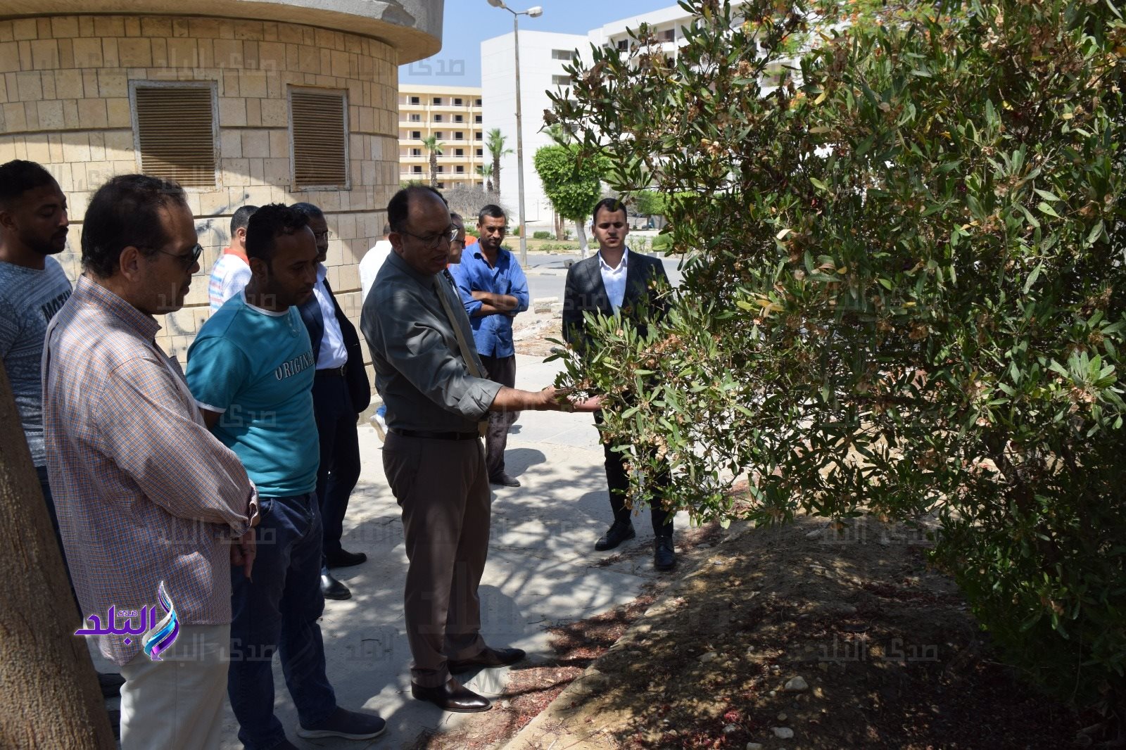 رئيس جامعة حلوان يتفقد المنشآت الرياضية1