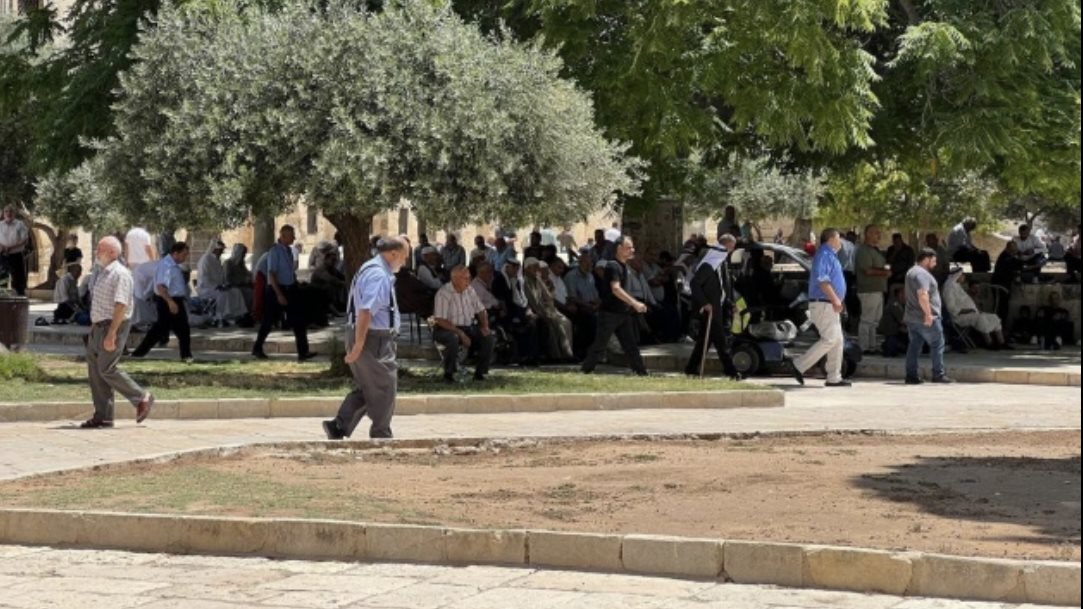 50 ألفا يؤدون صلاة الجمعة في المسجد الأقصى 50 ألفا يؤدون صلاة الجمعة في المسجد الأقصى