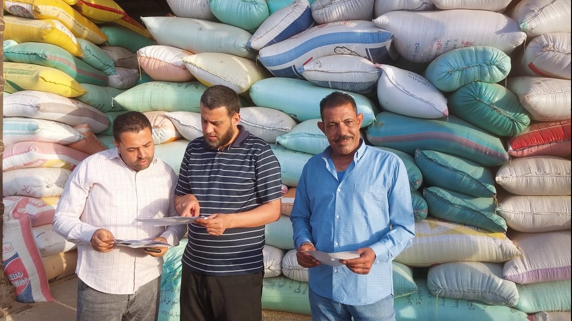 ‏محصول القمح بالبحيرة