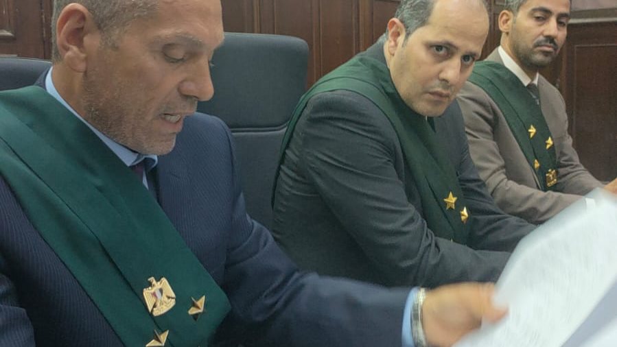 جنايات المحلة 