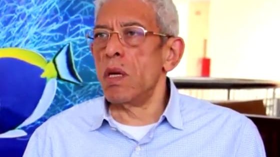 داوود عبد السيد 