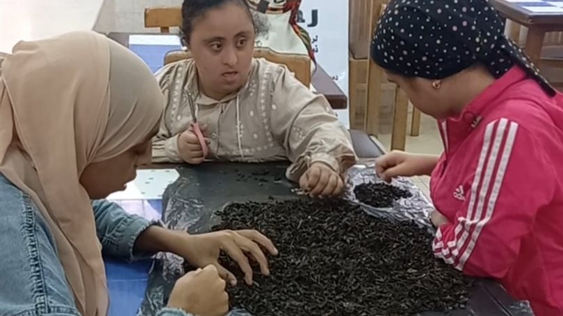 ذوى الهمم بدمياط