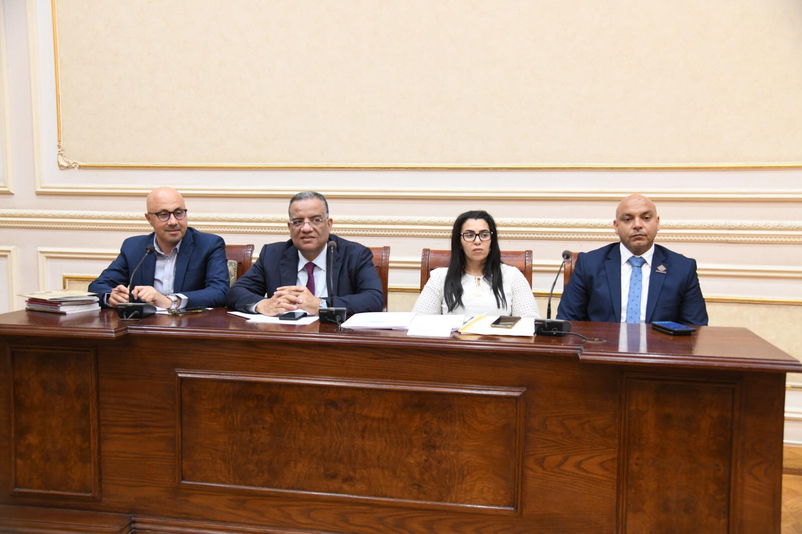  لجنة الثقافة والإعلام والسياحة والأثار يمجلس الشيوخ