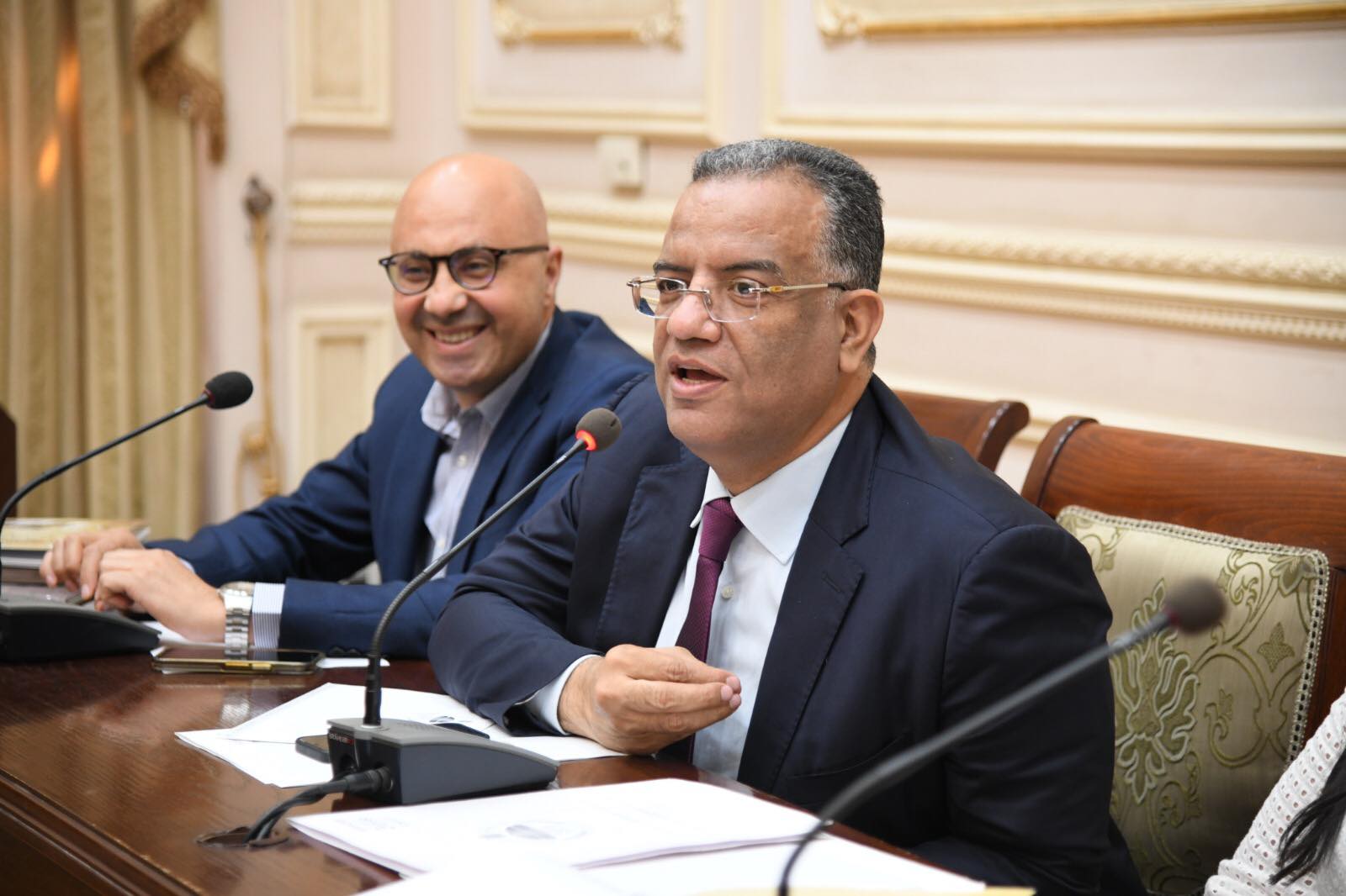 لجنة الثقافة و الإعلام بمجلس الشيوخ