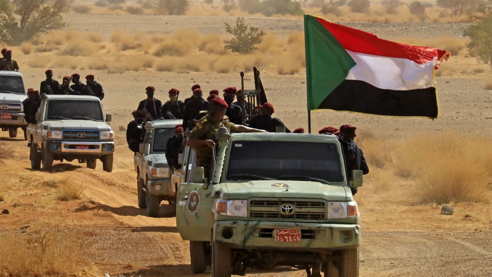 أرشيفية