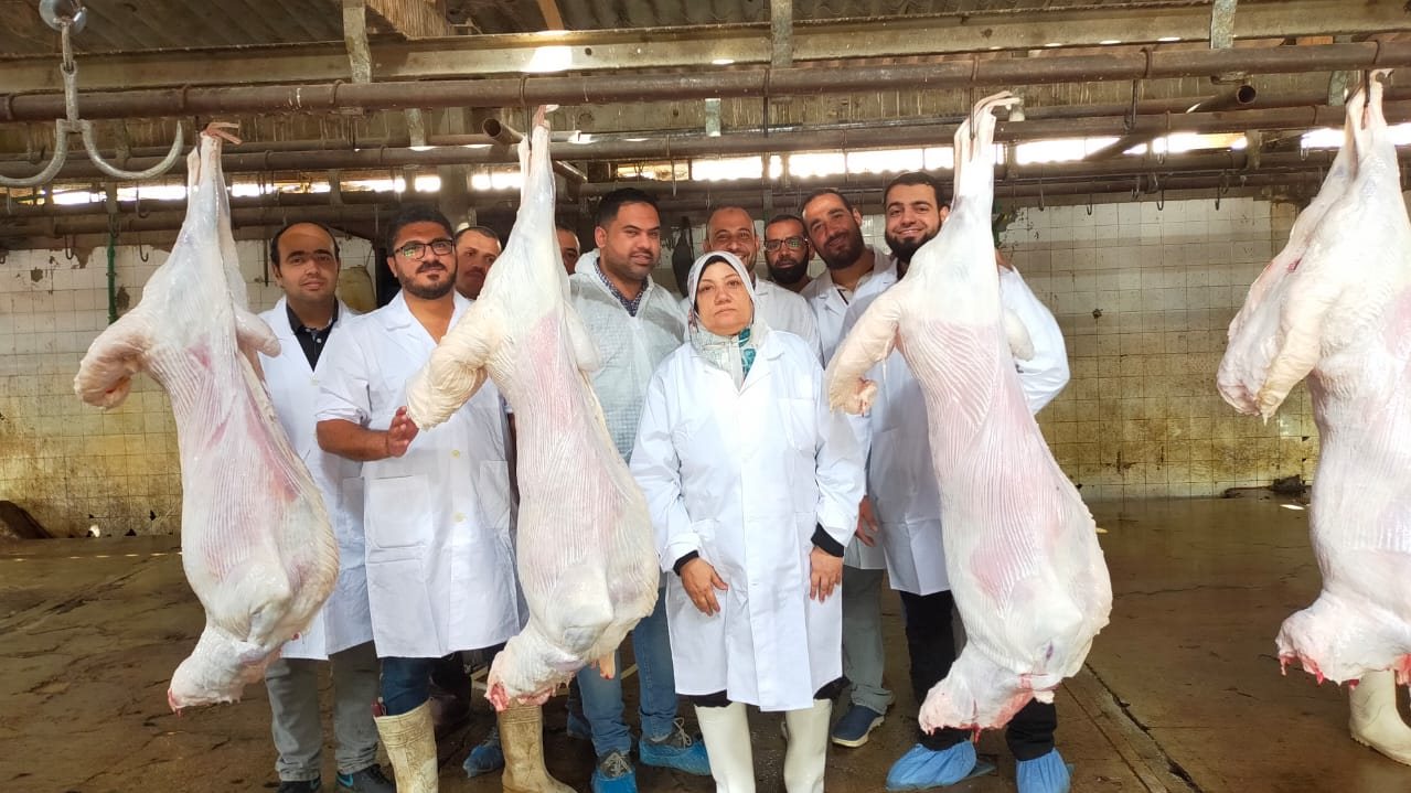 مجازر الجيزة