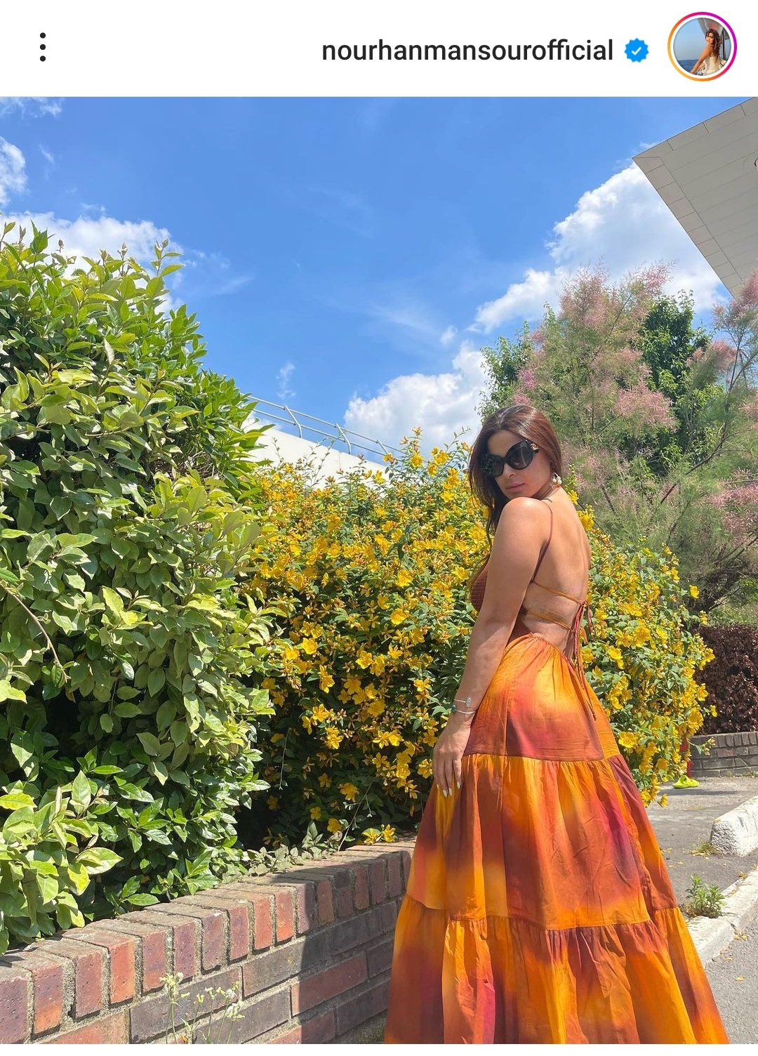 IMG_٢٠٢٣٠٦١٩_١٩١٥٥٧