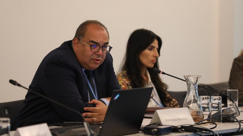 الدكتور محمود محي الدين