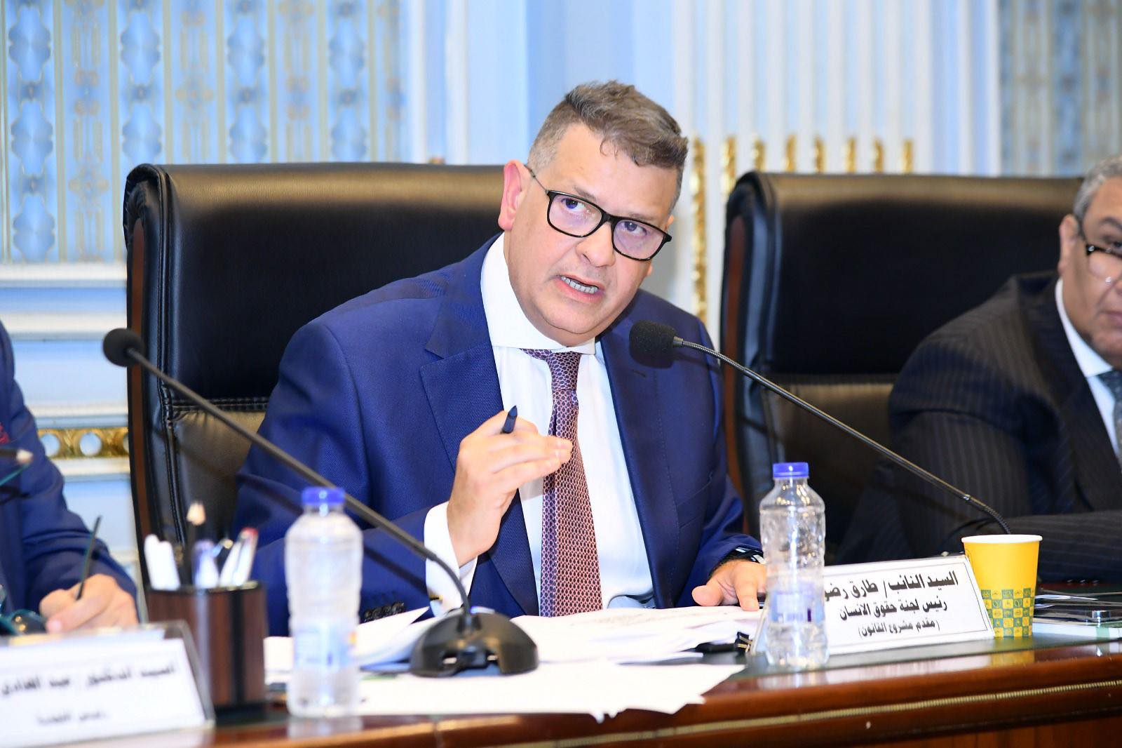 النائب طارق رضوان