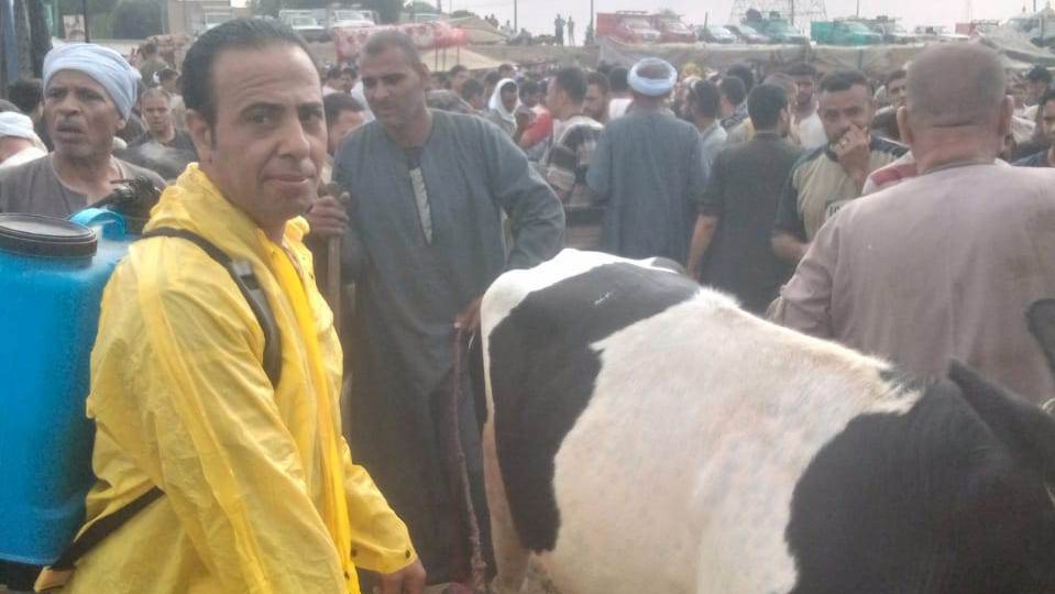 سوق المواشي