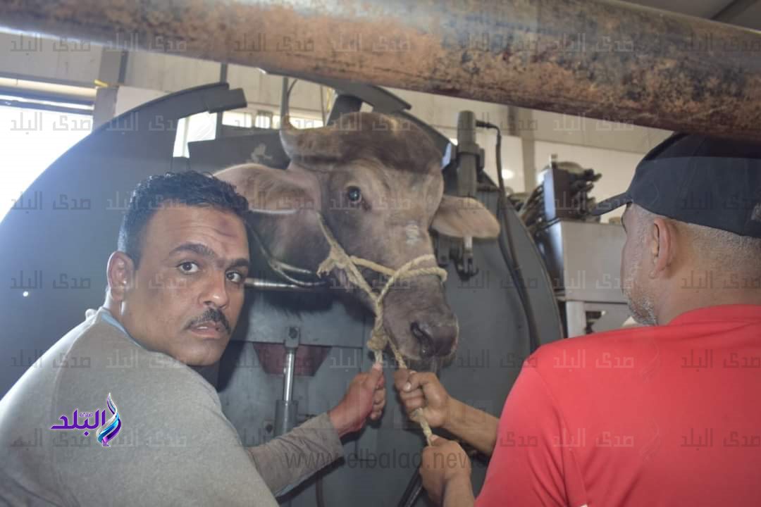 FB_IMG_1687510962173