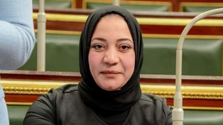 صفاء جابر ، عضو مجلس النواب 