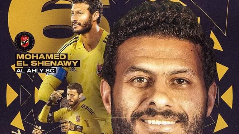 محمد الشناوي 