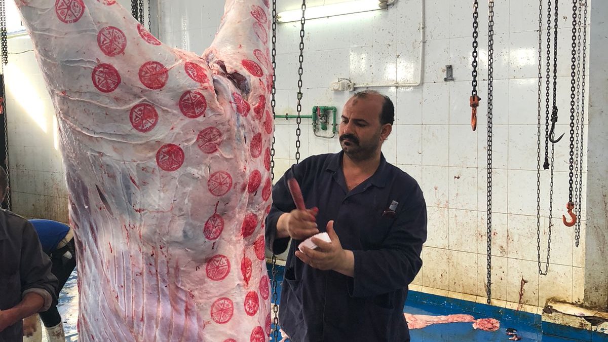 محافظ الغربية 
