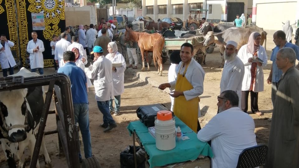 قافلة بيطرية بالغربية