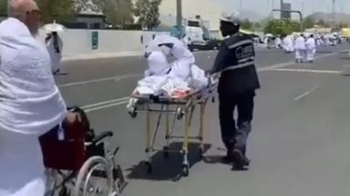  جانب من نقل الحاجة المصرية 