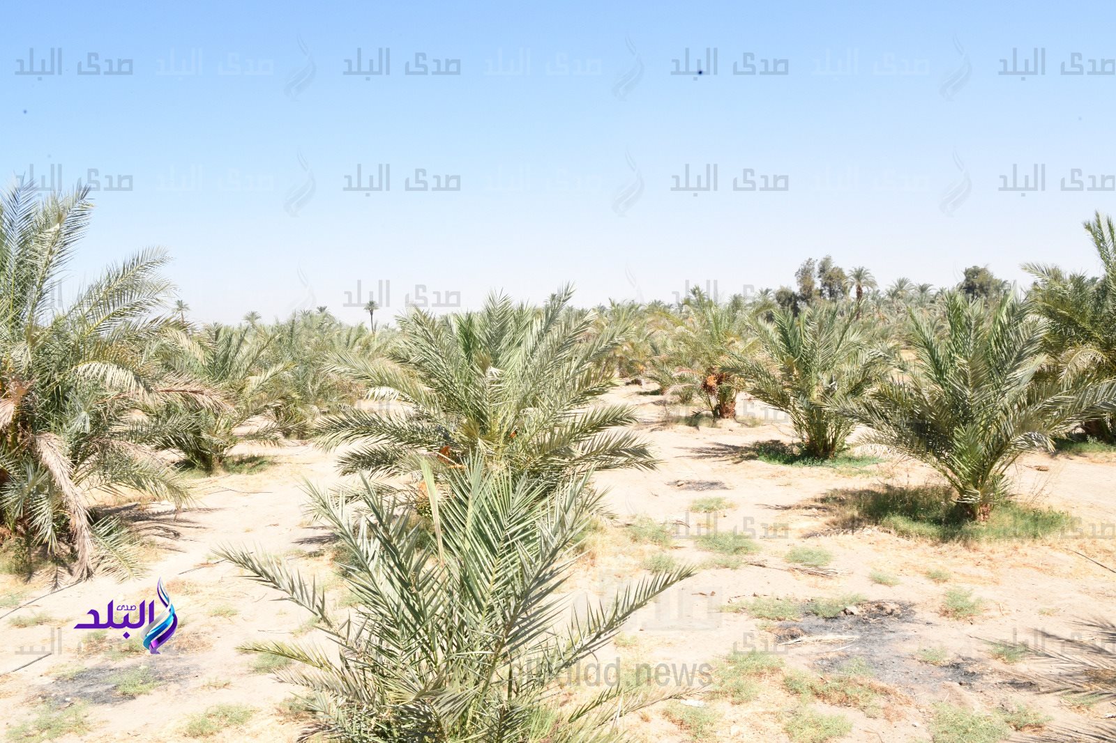 IMG-20230627-WA0047