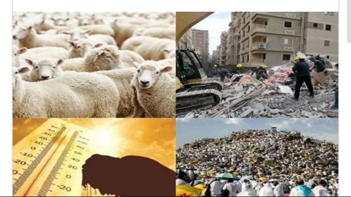 اخبار التوك شو 