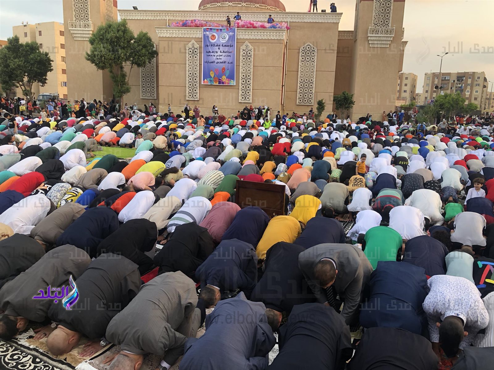 received_297578402687507