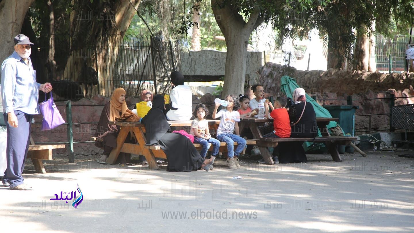 حديقة الحيوان 