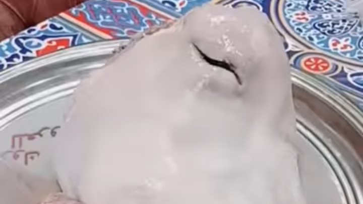 لحمة الرأس 