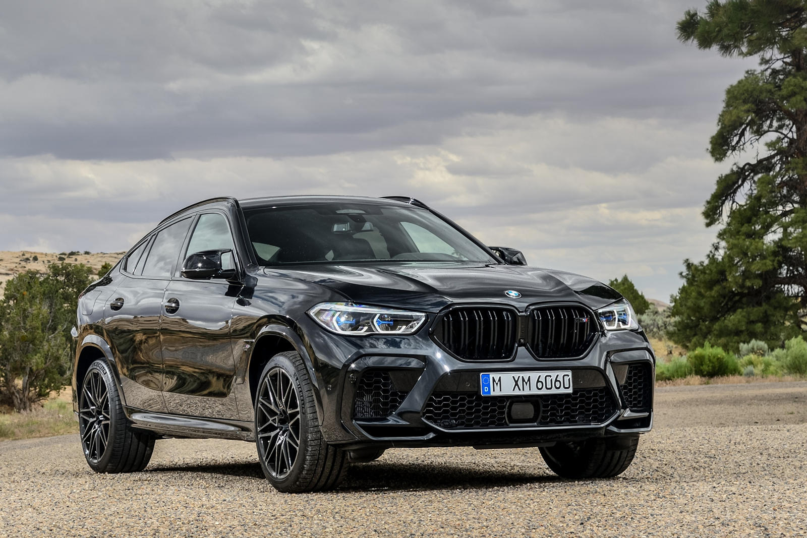 BMW X6 M