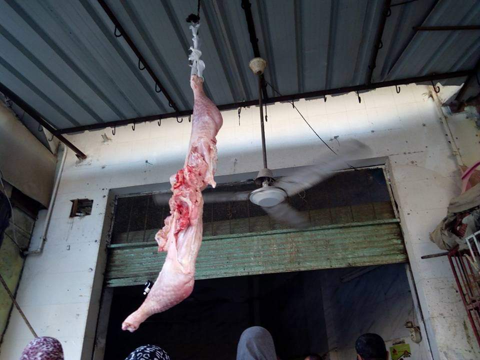 ضبط لحوم 