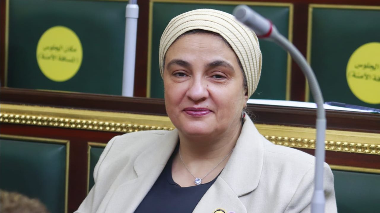 النائبة سميرة الجزار عضو مجلس النواب