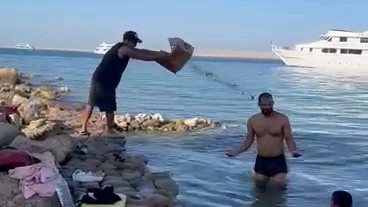 شخص يُلقي بالزجاج المكسور على ساحل البحر بالغردقة