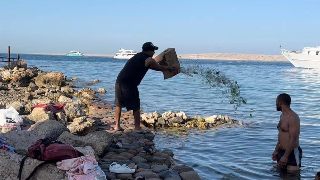 صورة أرشيفية