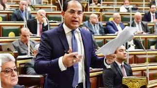 برلماني: زيارة الرئيس السيسي للخليج تُجسد وحدة المصير والشراكة الاستراتيجية
