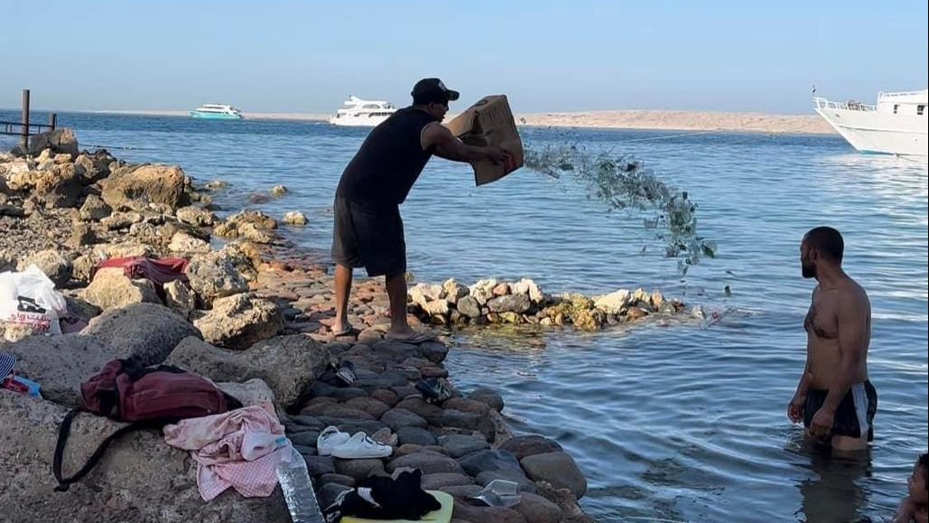 القاء زجاج بالبحر الاحمر